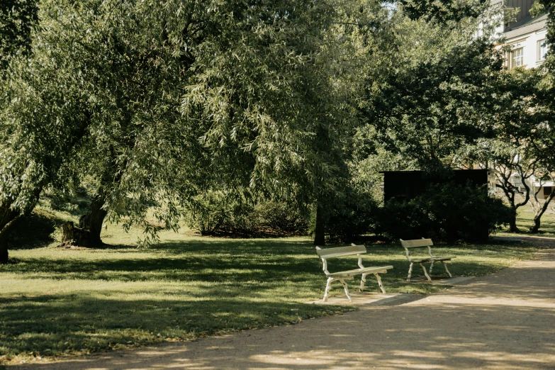 four white park benches next to each other on a road