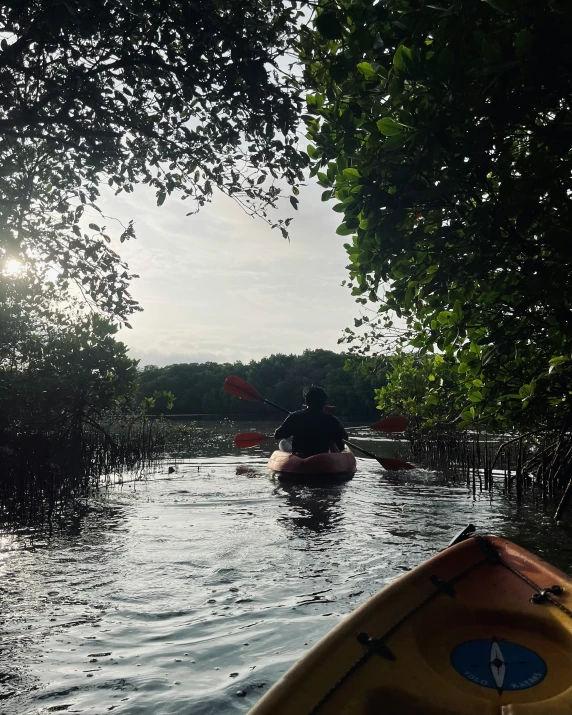 a kayaker makes his way through the calm waters