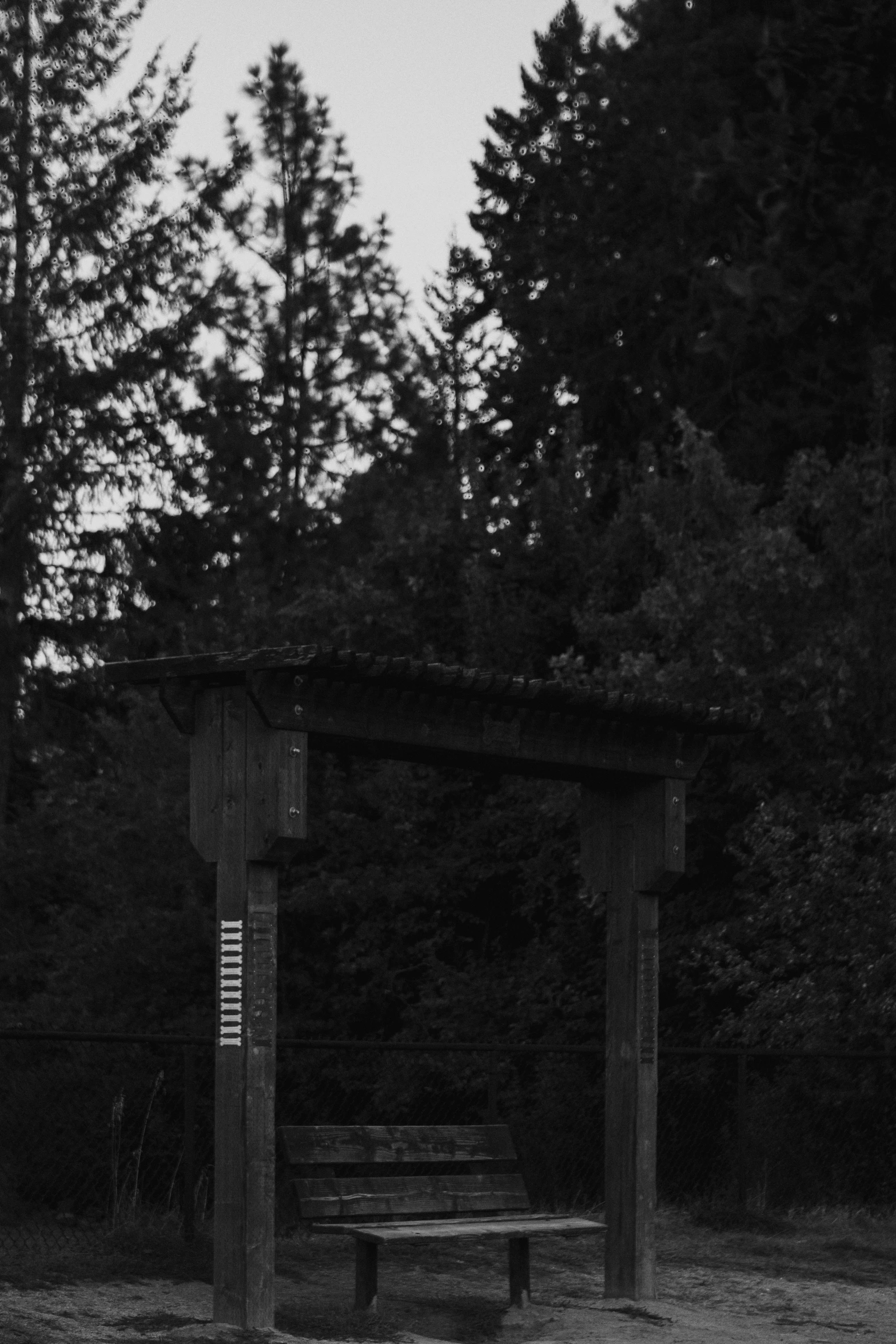 a lonely wooden bench in a wooded area at night