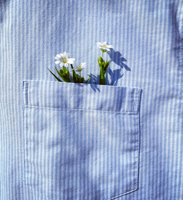 there are white flowers inside a pocketed shirt