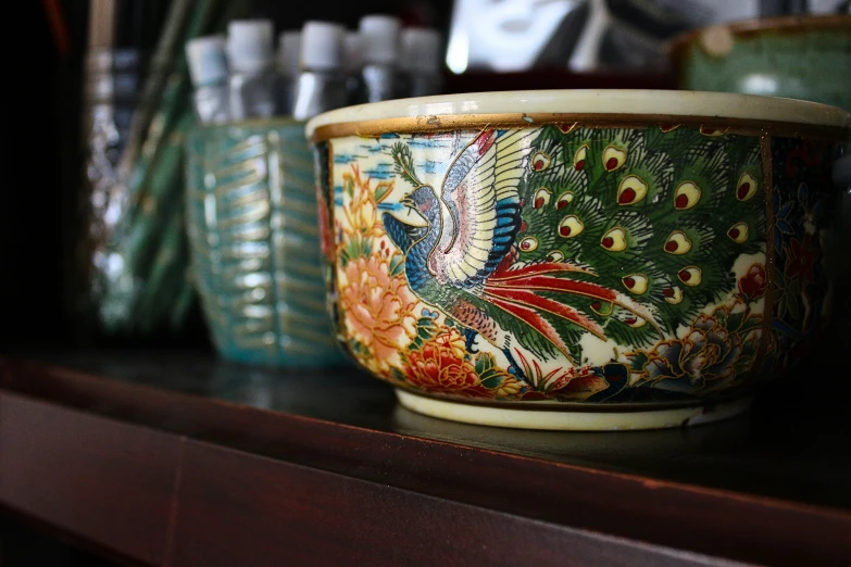 a bowl with peacock print sitting on top of a shelf