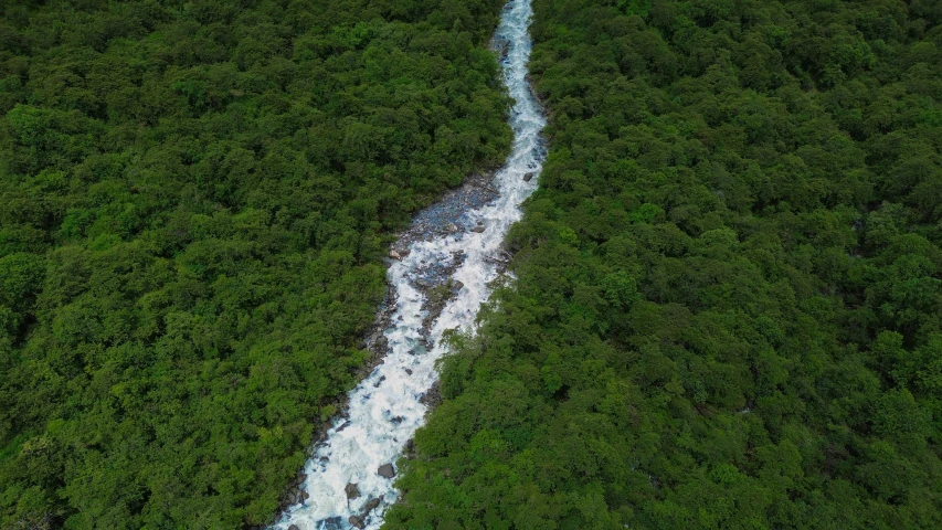 flowing stream between two forest sides