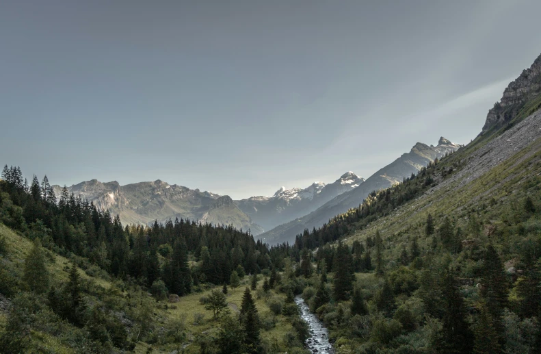 a valley that has some trees on it