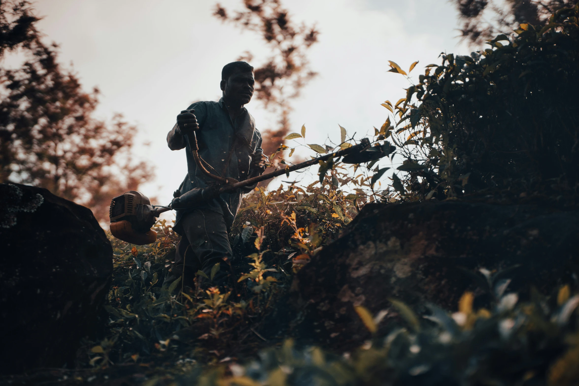 a man is standing in a field with a stick