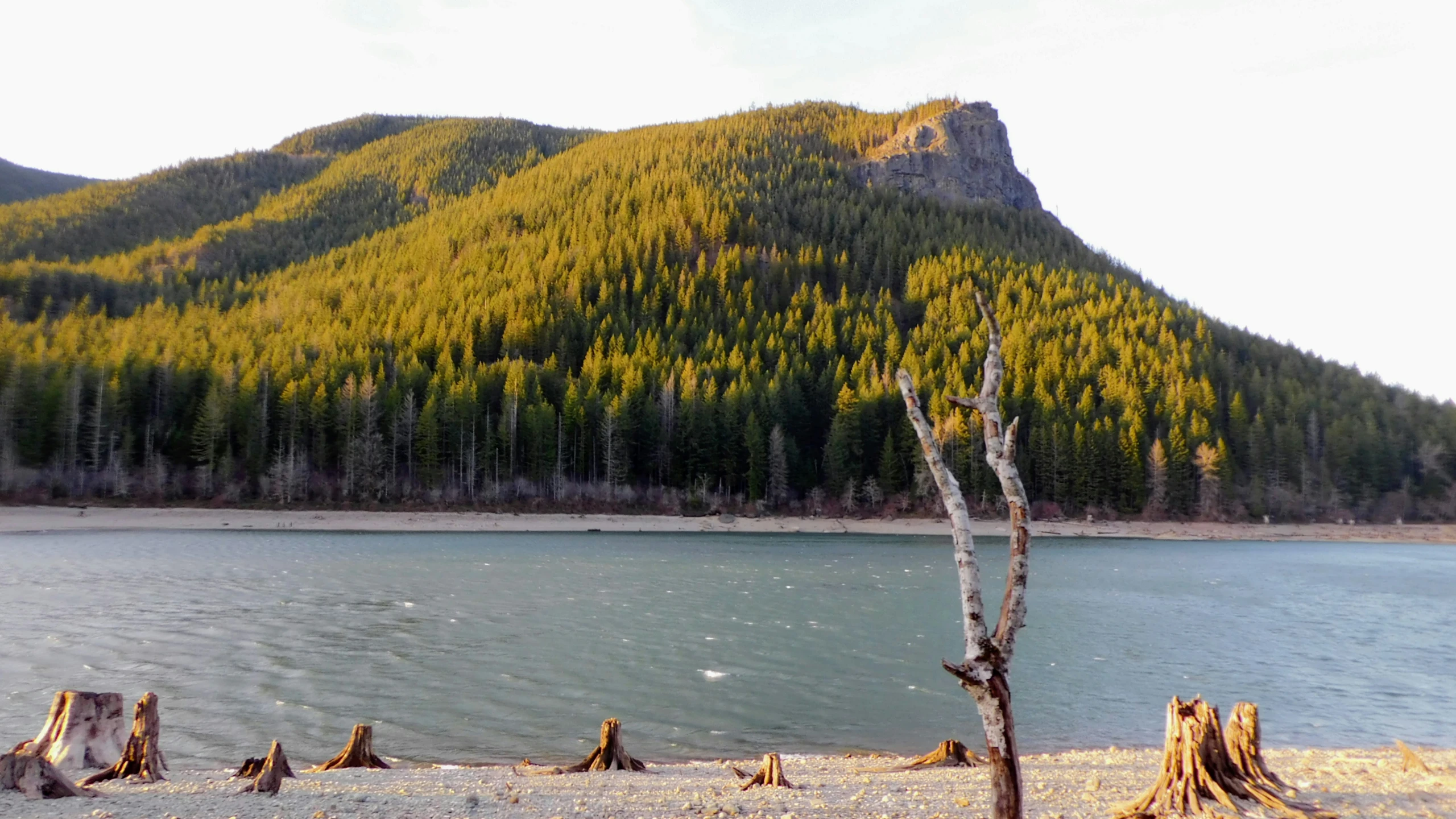 a scenic area with trees, water, and mountains