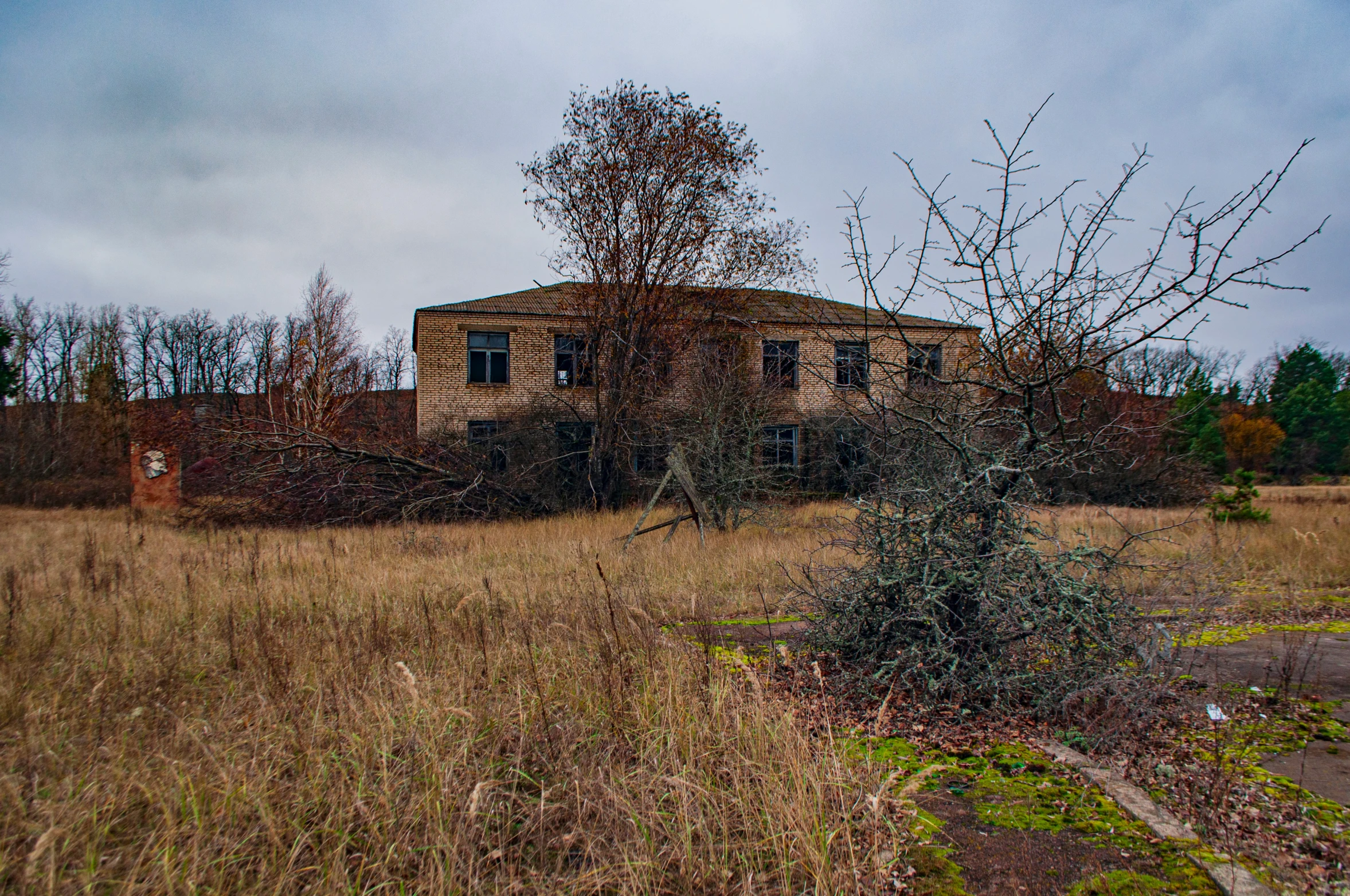 an abandoned run down house with a plant growing out of the ground