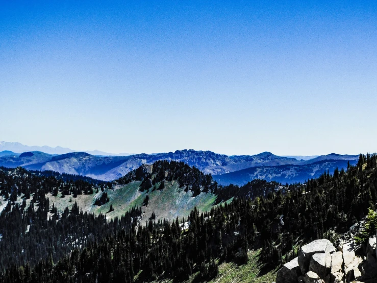 a mountain with lots of trees in the middle