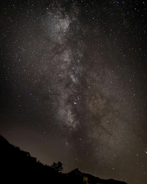 a field with some trees at night and the sky filled with stars