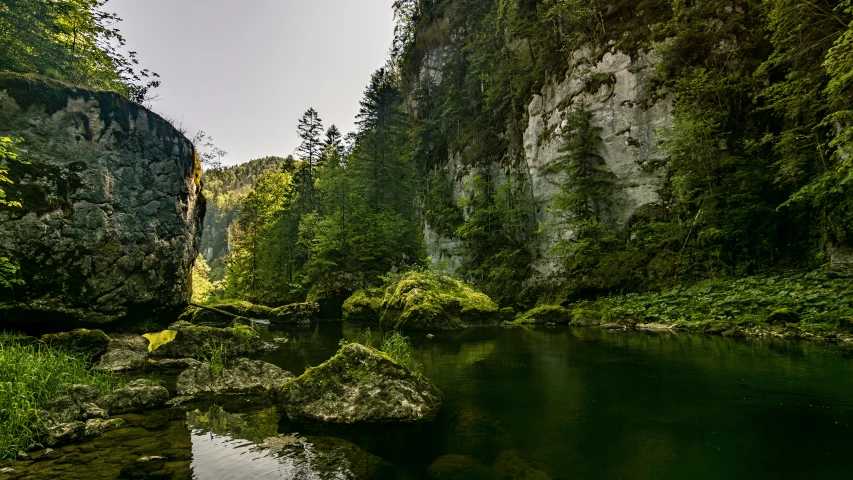 a small river near a cliff covered in green vegetation