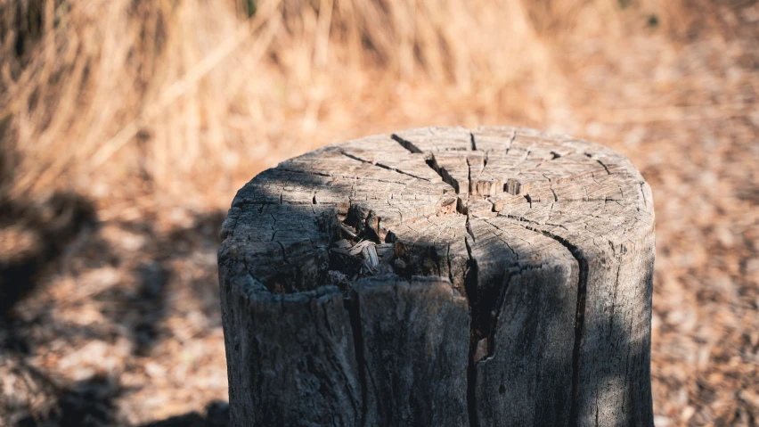 a close up view of the wood grain