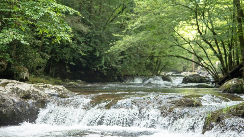 a stream runs down from green trees and into a waterfall