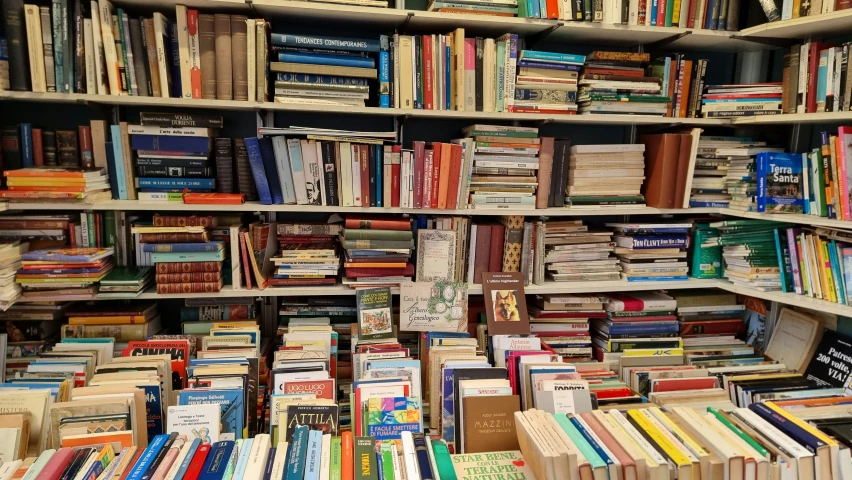 a store filled with a lot of books