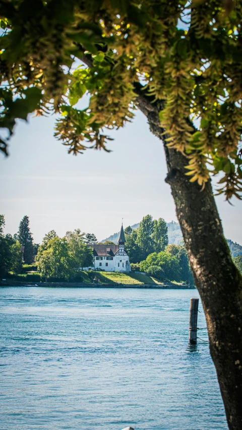 two boats on the water with trees and building behind them