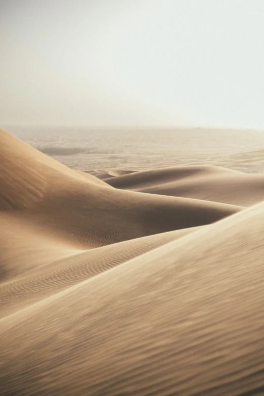 the desert with large, brown dunes in the distance