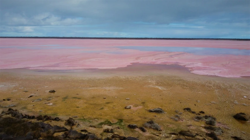 some pink water and clouds and a yellow ground