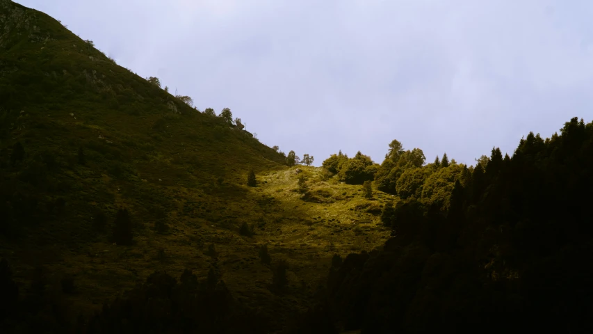 a hill with trees all around it