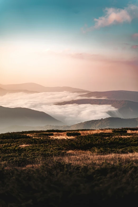 a cow on a mountain overlooking a misty sea of clouds