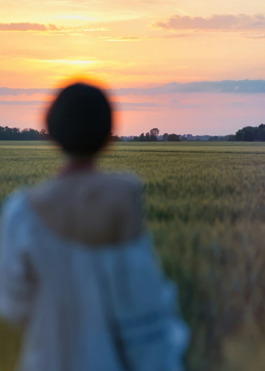 the back end of a person standing in front of a field of crops at sunset