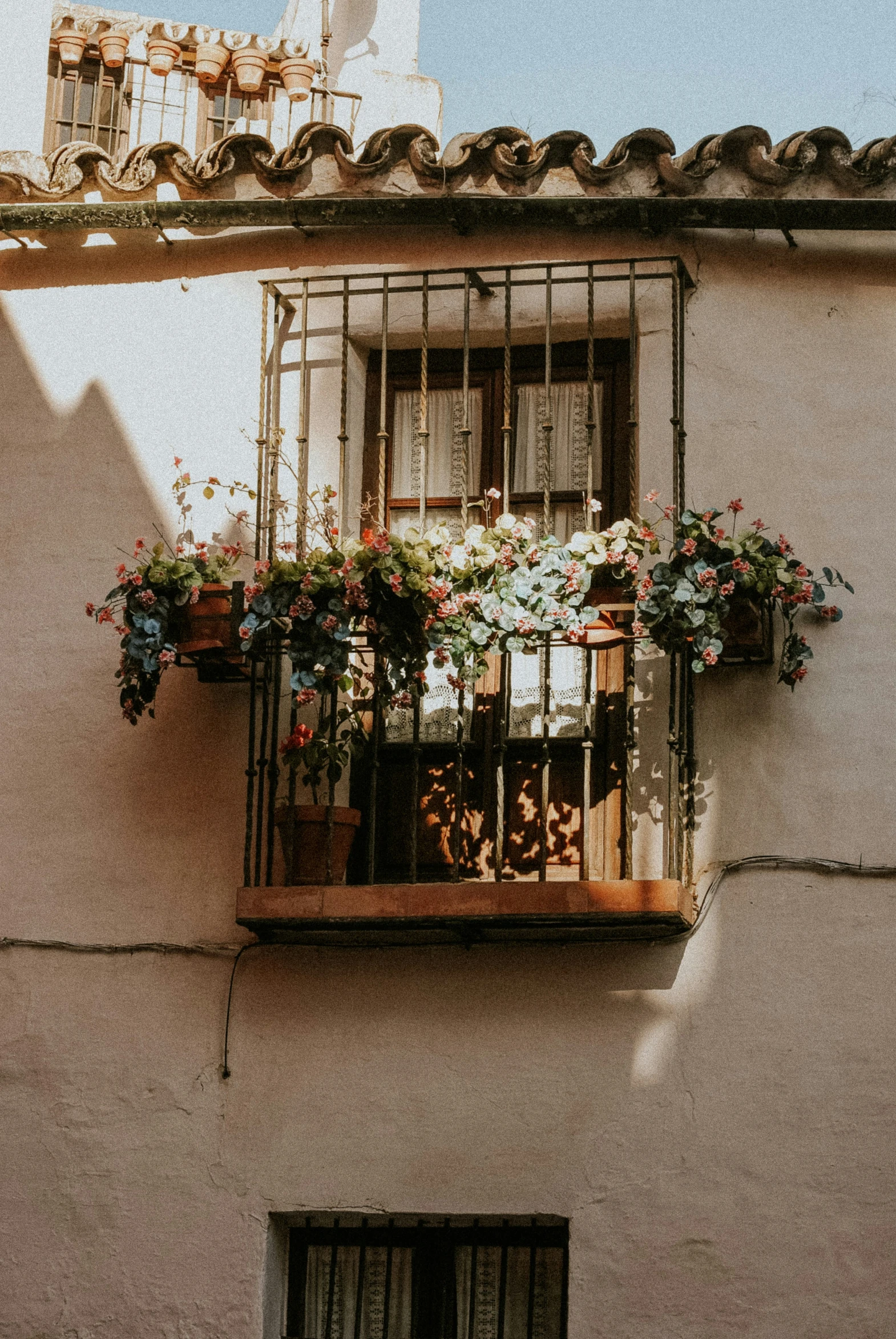 a couple of windows with flowers on them