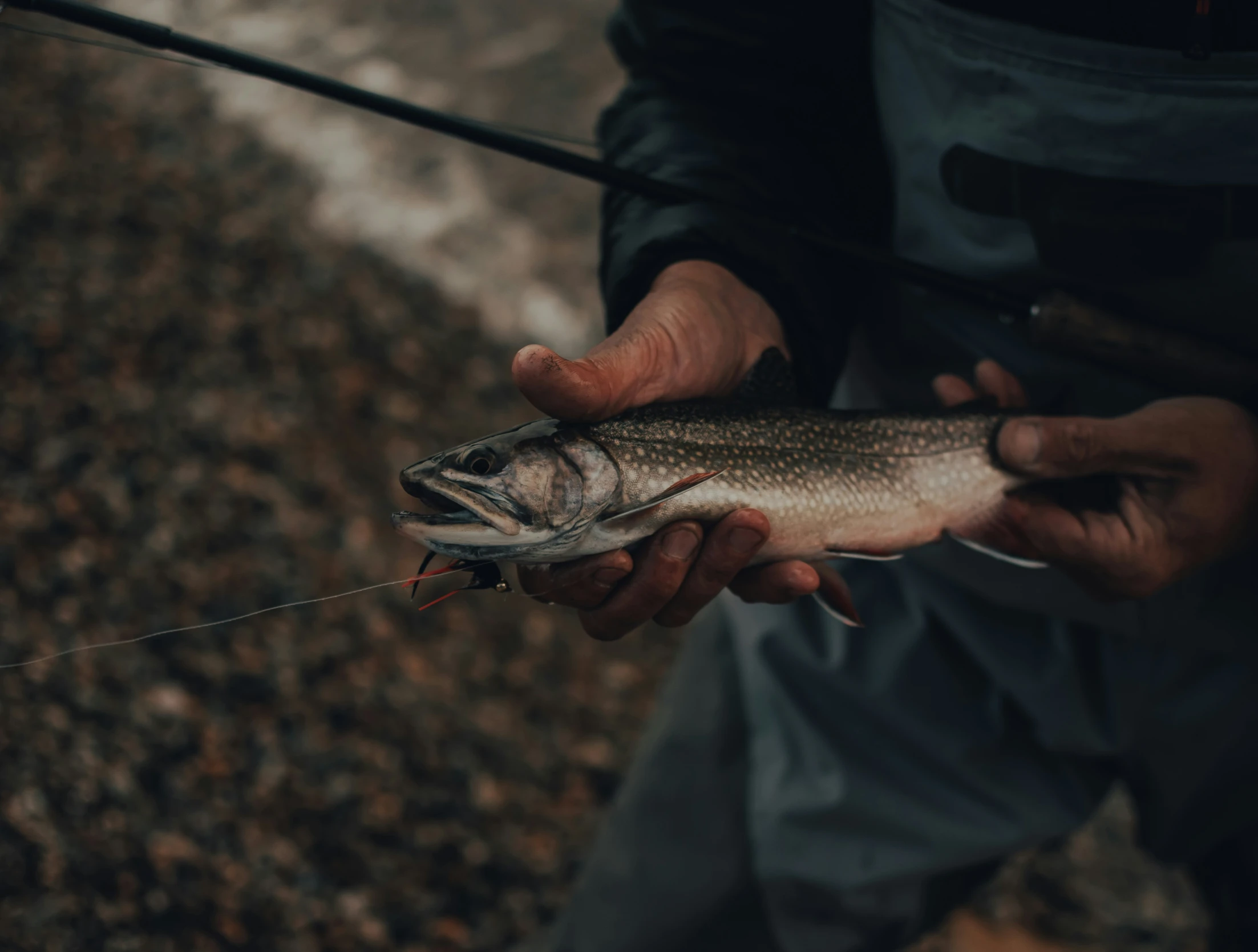 someone holding onto a fish on the side of the river