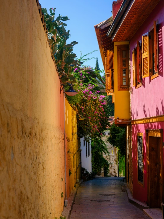 an empty alley way with sun on it