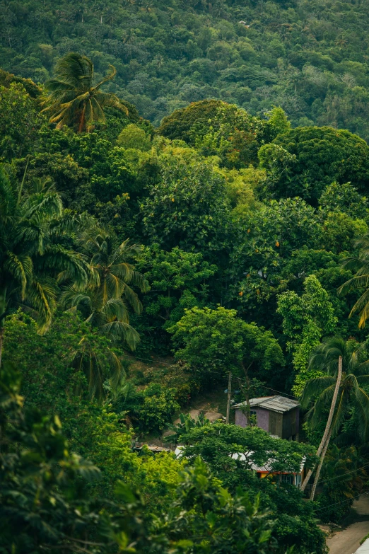 a mountain with lots of trees, some houses and buildings