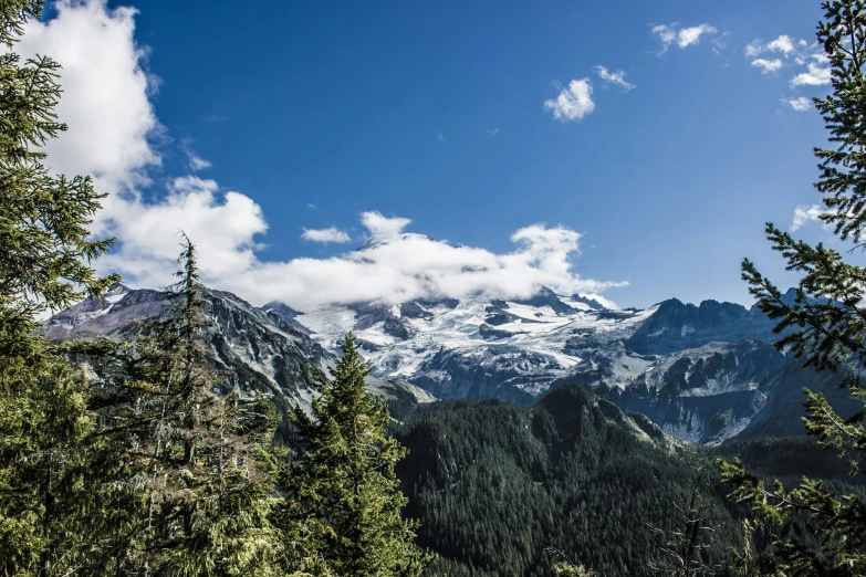 mountain peaks and trees surrounded by clouds