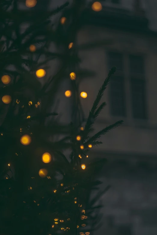 a lit christmas tree in front of a building