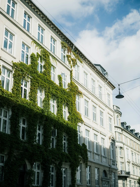 an apartment building with ivy growing all over the side