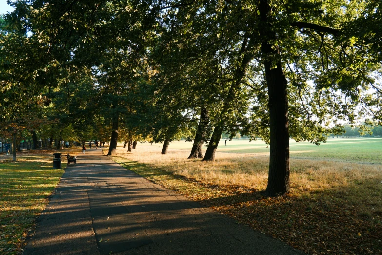 several people sitting on benches under the shade of a tree