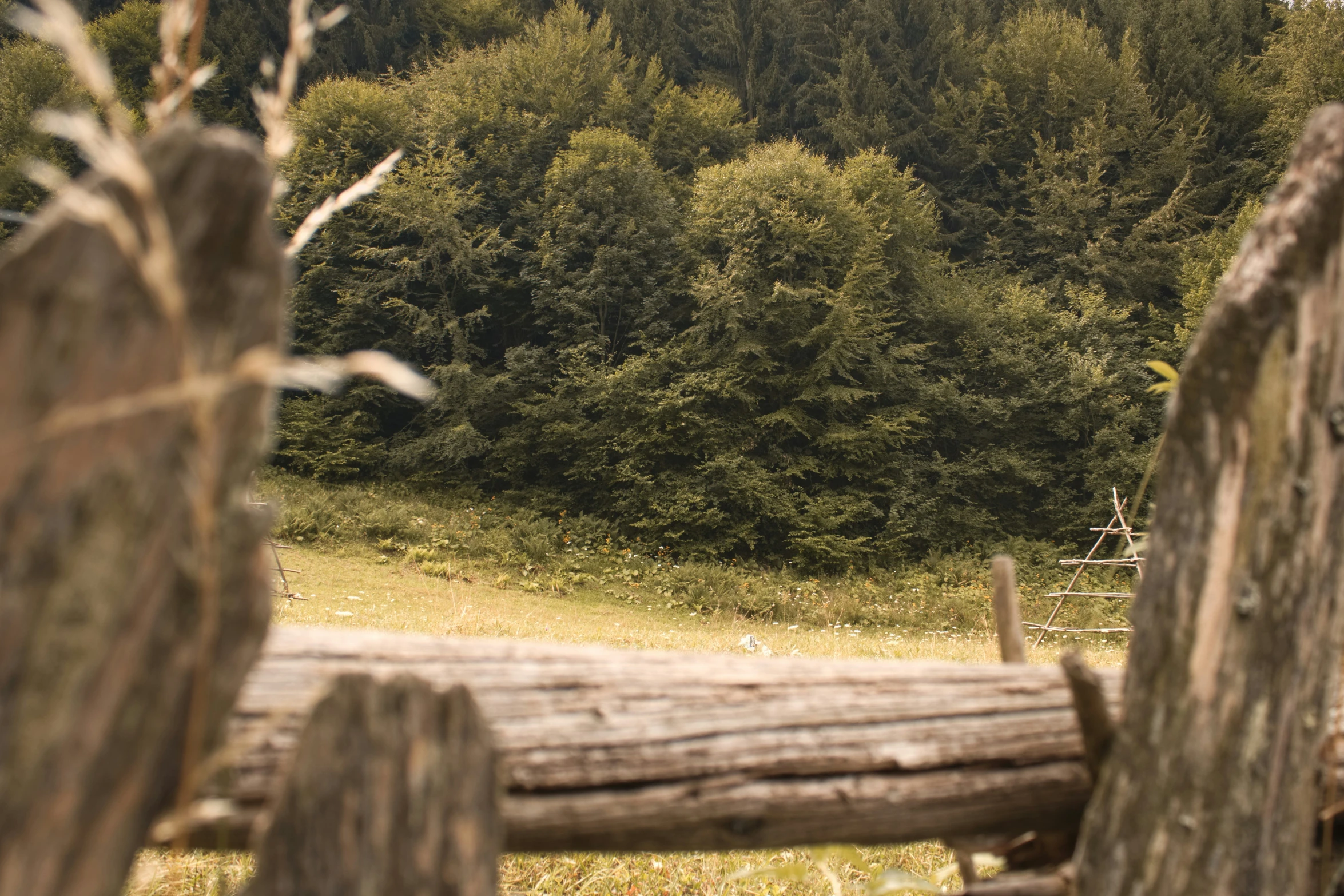 a wooden fence with an elephant in the background