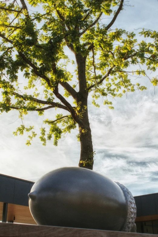 a statue sits next to a tree on a ledge