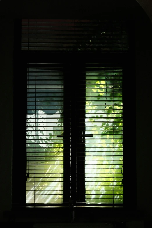 a window with the blinds pulled down, partially open