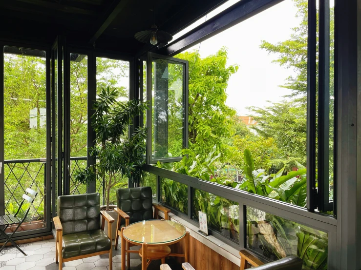 a screened balcony with lots of greenery and chairs