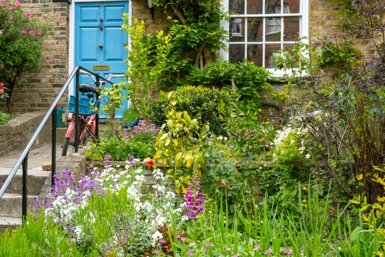 a house with lots of plants next to it and a blue door