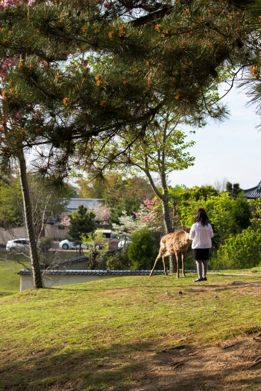 two people are looking down at some animals in the grass