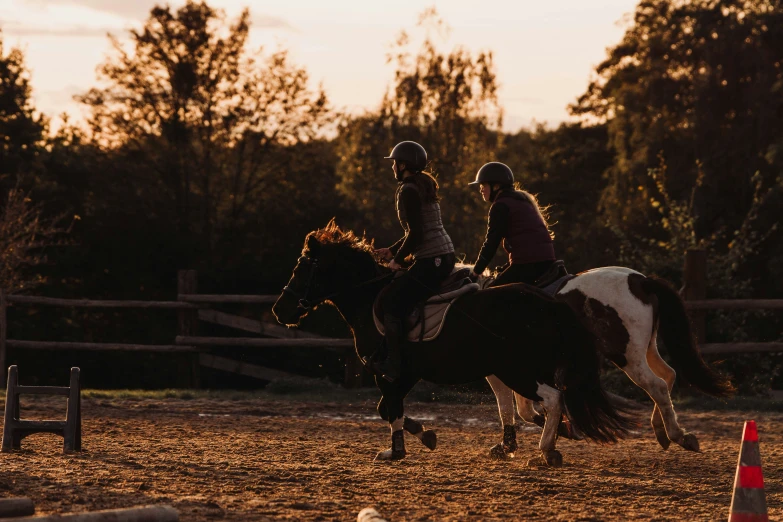 two people on horses riding in an enclosed area