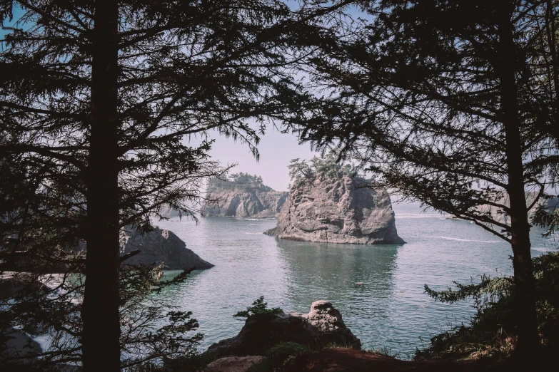 a po taken through pine trees of two large rocks in the ocean