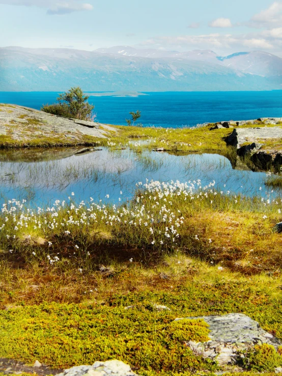 a large body of water surrounded by mountains