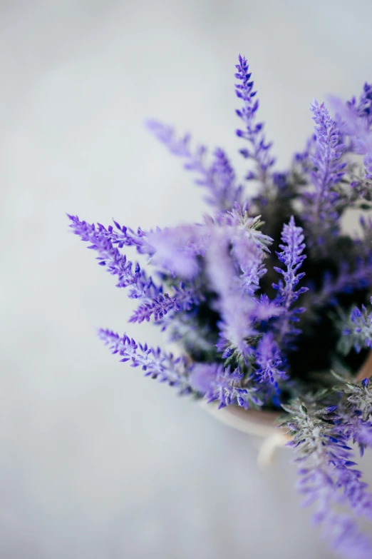 a vase filled with purple flowers on a table