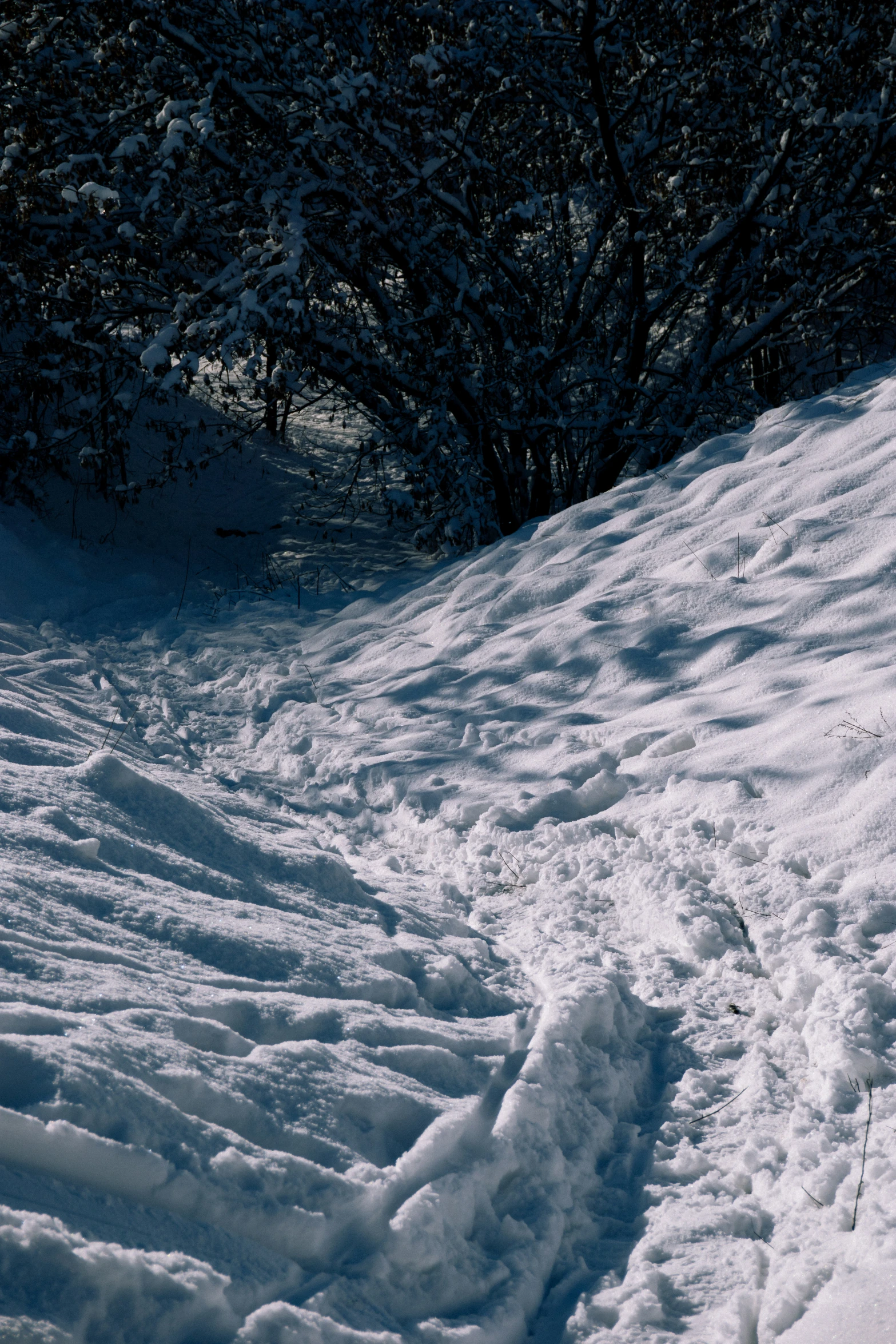 the man is on the snow covered hill ski slope