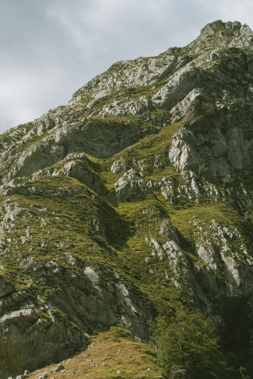 a large mountain with lush vegetation and trees