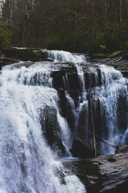 a waterfall surrounded by trees near a fallen nch