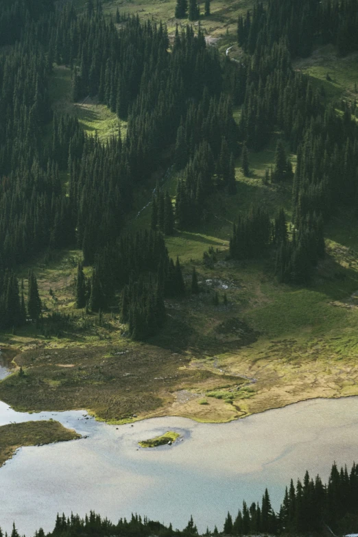 a field with a green hillside and forest around it