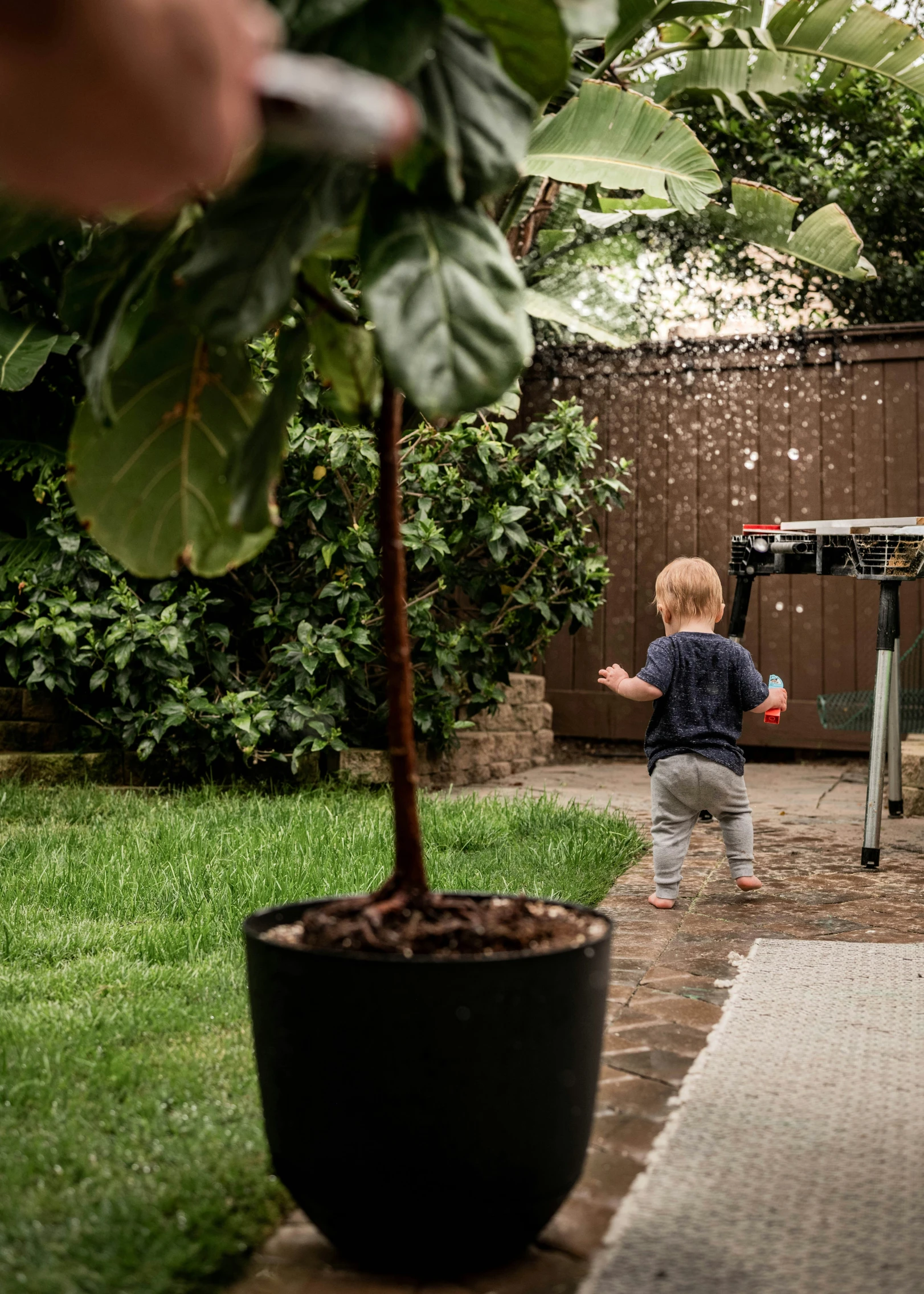 a small child holding a green plant near a wooden fence