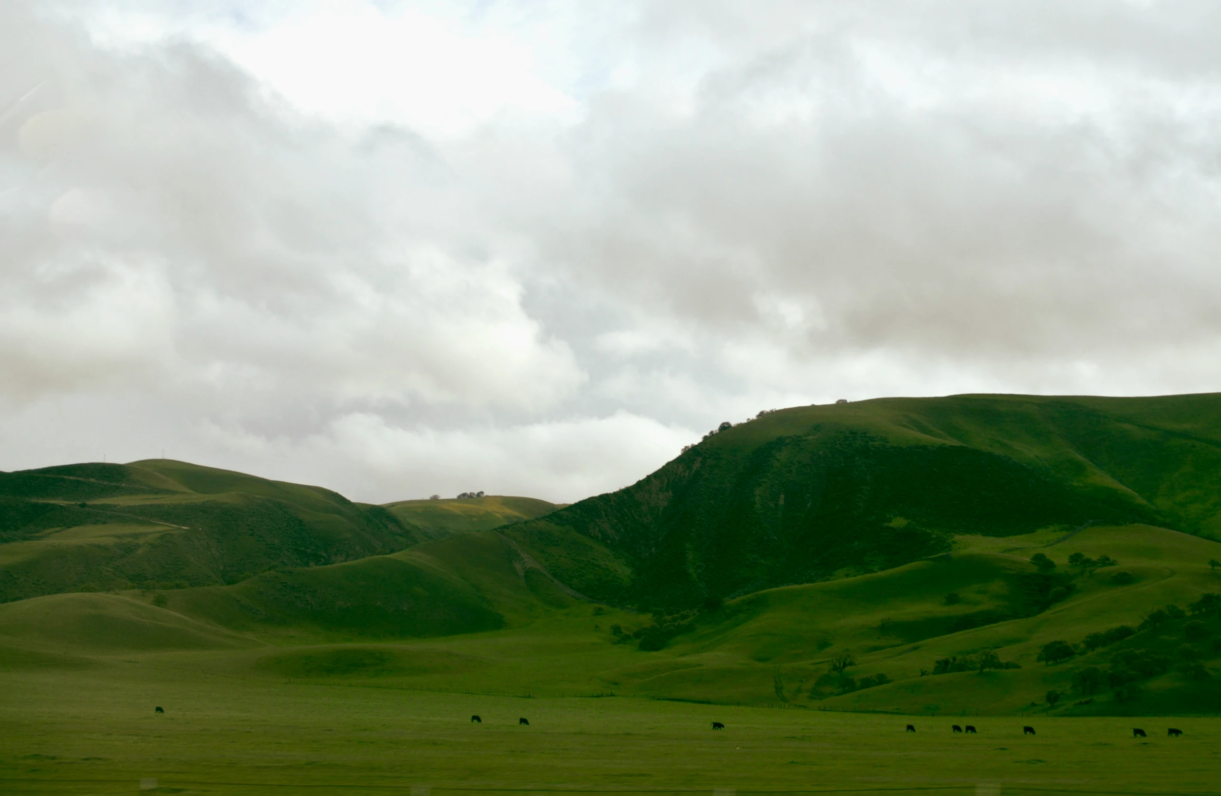 several animals are grazing on green hills under a cloudy sky