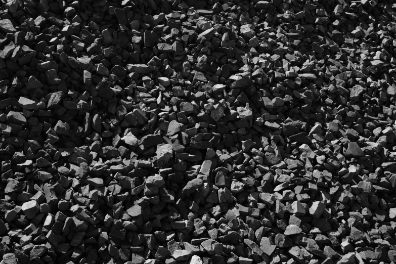 a black and white image of rocks on the ground