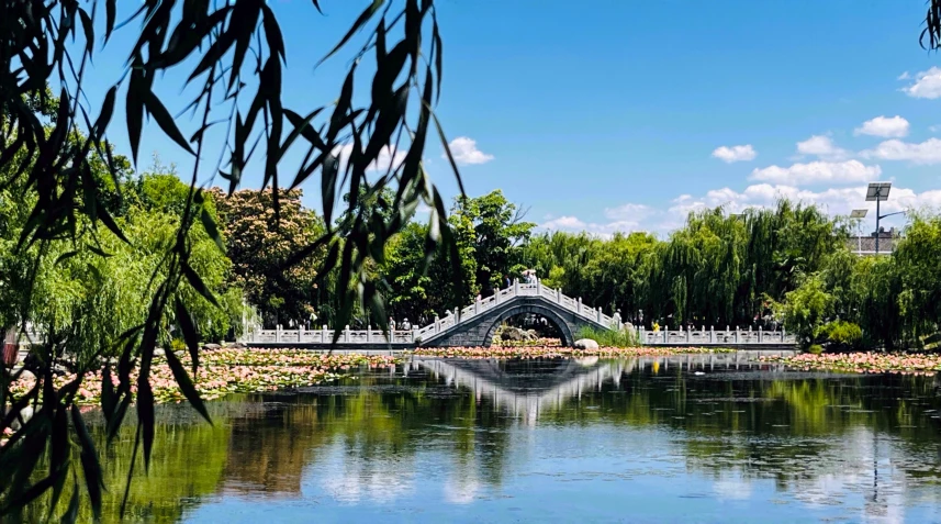 a bridge is sitting above the lake