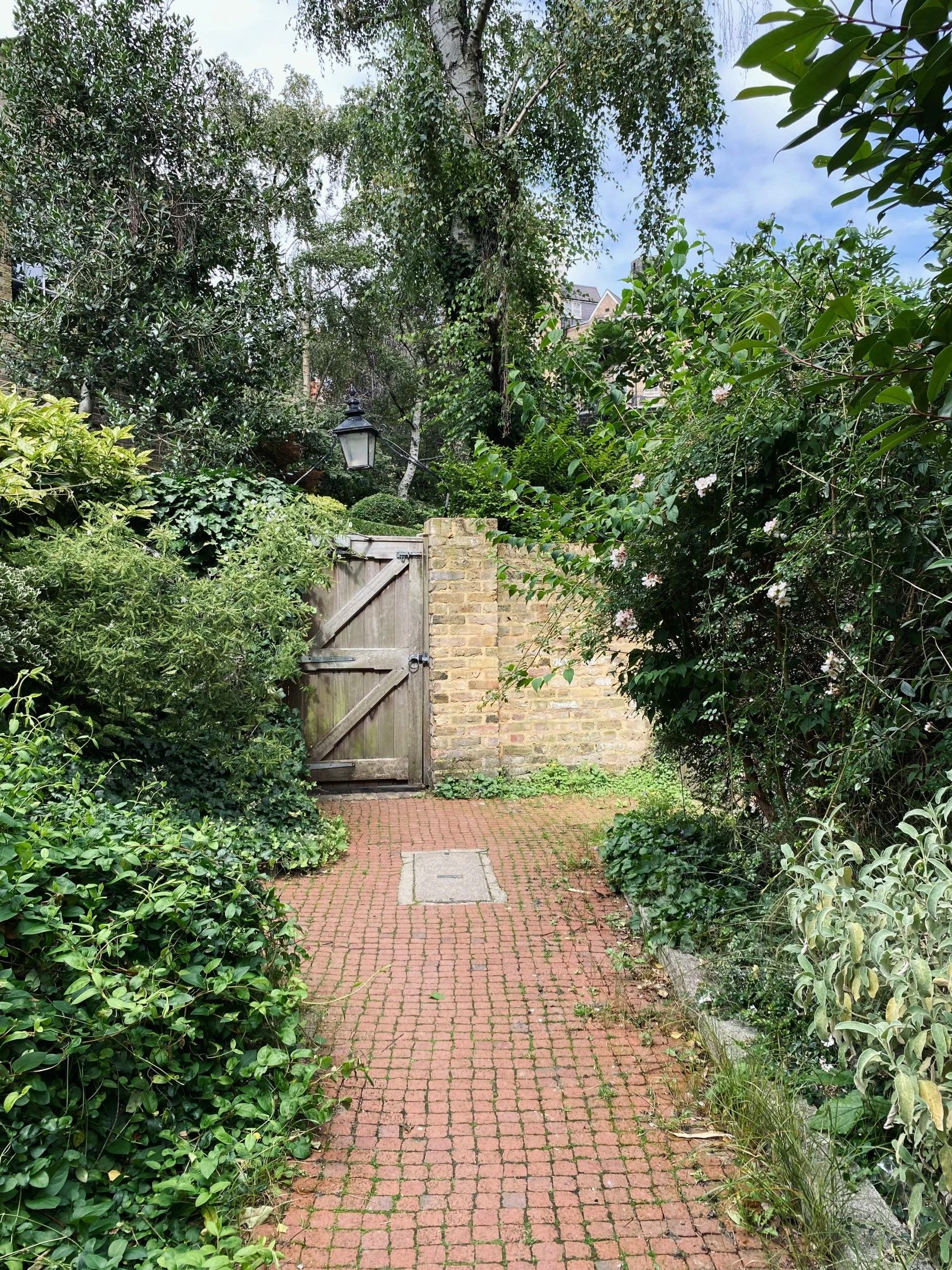 brick pathway in green shrubbery, with wooden gate