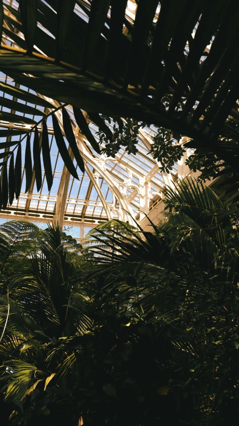 the roof of a very large building has many palm leaves hanging from it